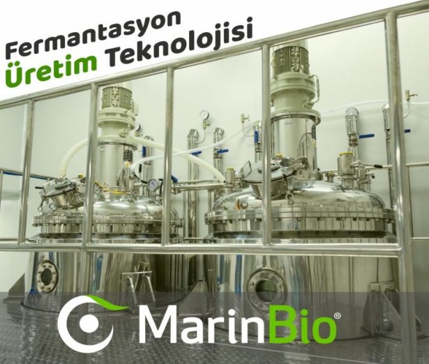 Revolutionizing Animal Health with MarinBio Probiotics