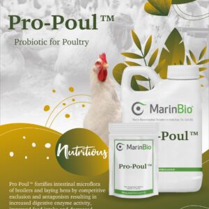 Pro-Poul™