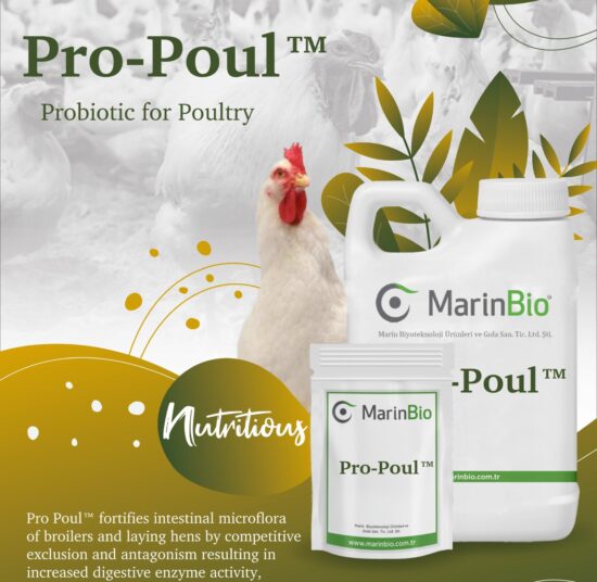 Pro-Poul™