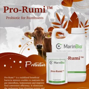 Pro-Rumi™