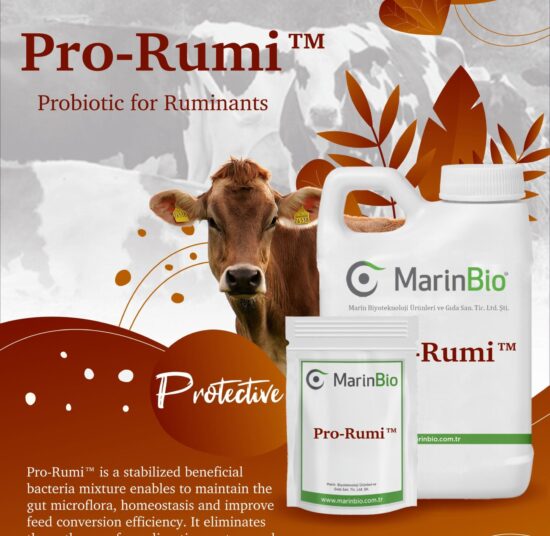 Pro-Rumi™